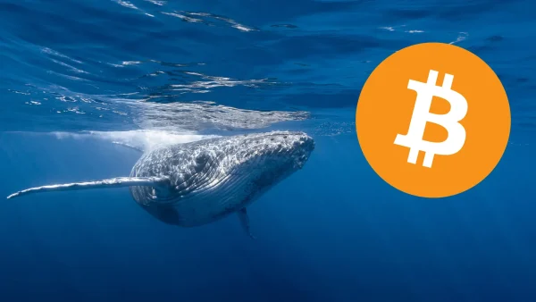 Ancient Bitcoin Whale flytter $ 60 millioner etter 12 år!