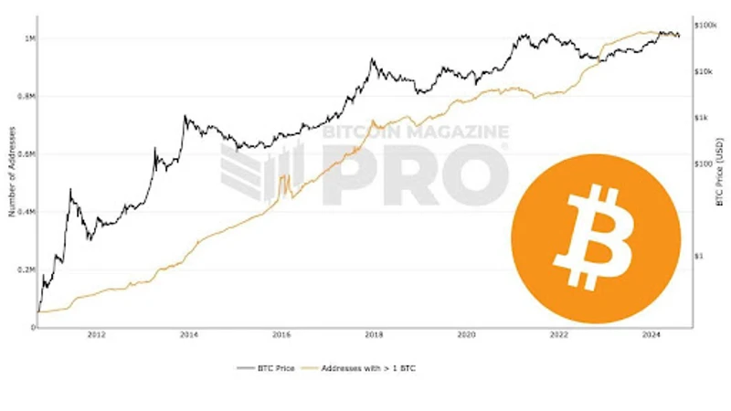 Graf som viser antall Bitcoin-adresser som holder 1 BTC
