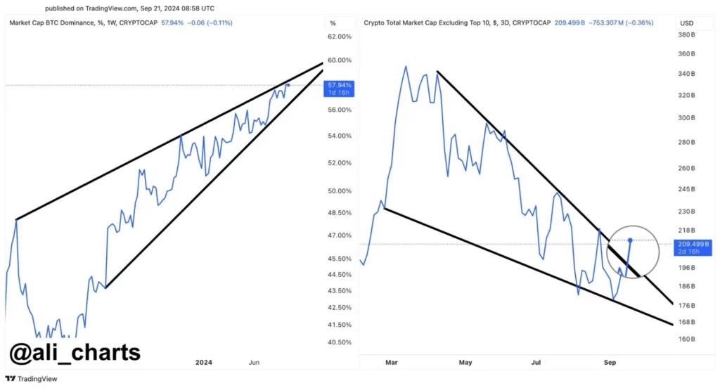 Trader forutsier Dogecoins oppgang, hold Solanas fall fremover
